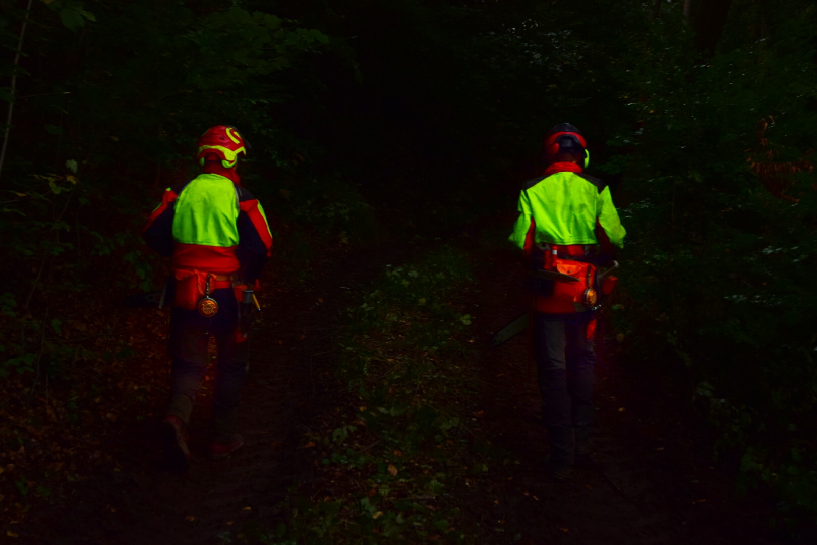 Männer laufen im Wald