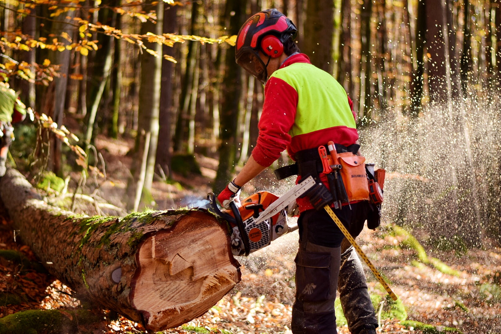 Mann sägt Baum