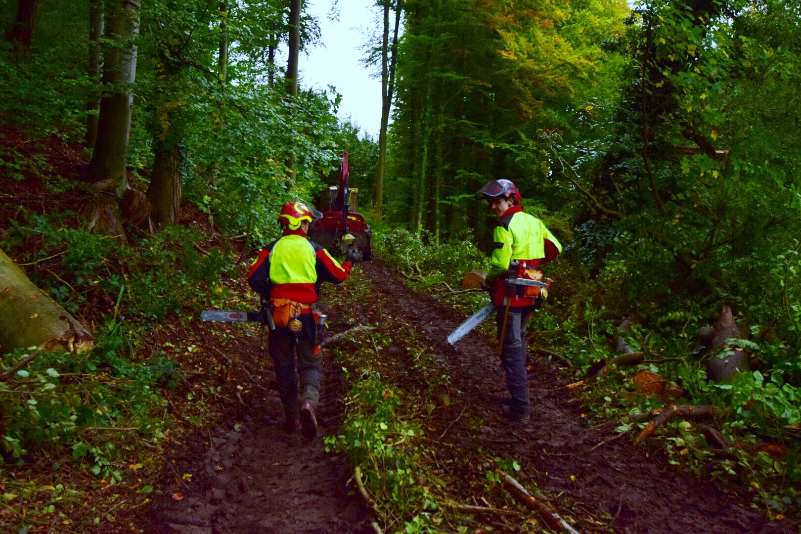 Männer im Wald